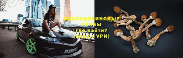 a pvp Алексеевка