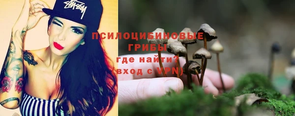 a pvp Алексеевка